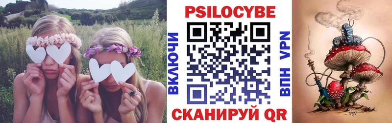 Псилоцибиновые грибы Cubensis  Ухта 